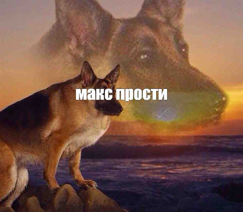 https://strapi.cryptozor.ru/uploads/photo_10167_e1c04843a5.jpg