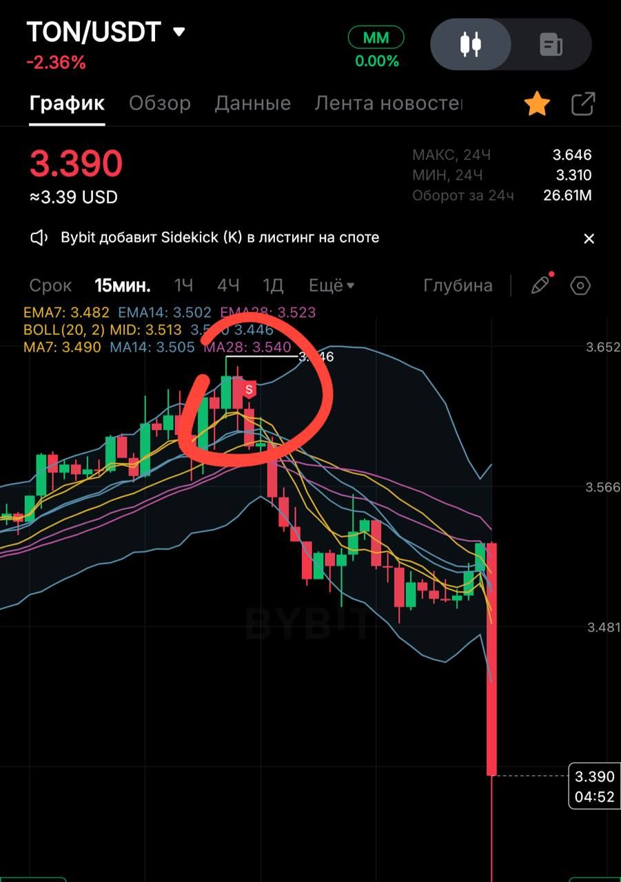 https://strapi.cryptozor.ru/uploads/photo_18863_8fefbd3eba.jpg