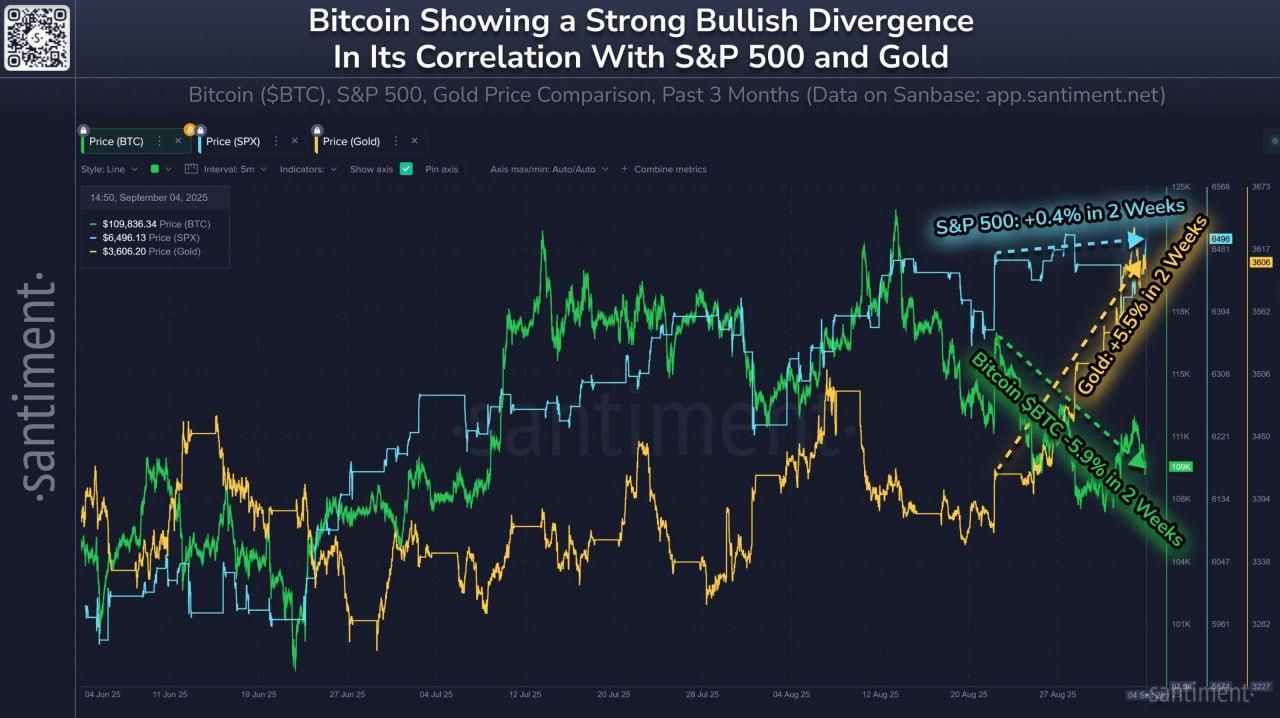 https://strapi.cryptozor.ru/uploads/photo_3816_1bd9e11f77.jpg