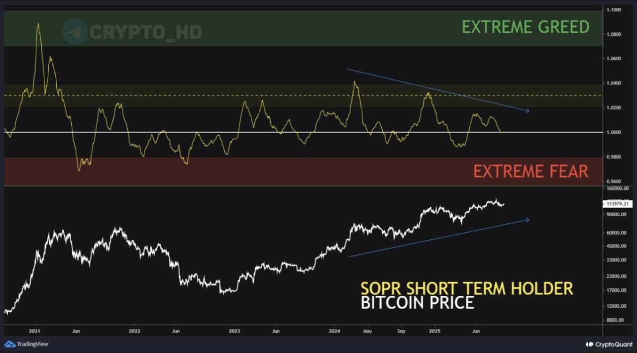 https://strapi.cryptozor.ru/uploads/photo_3871_ec44930112.jpg