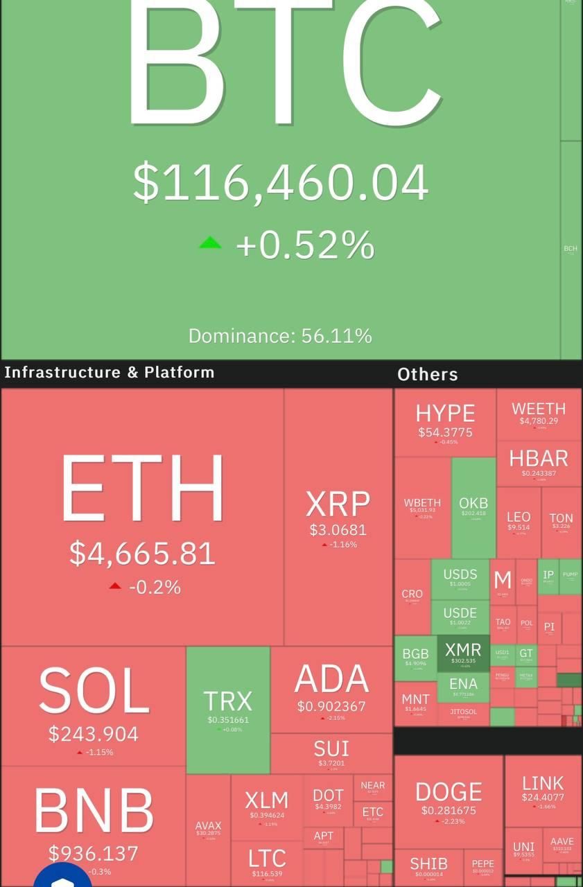 https://strapi.cryptozor.ru/uploads/photo_3883_177ed4ec9d.jpg