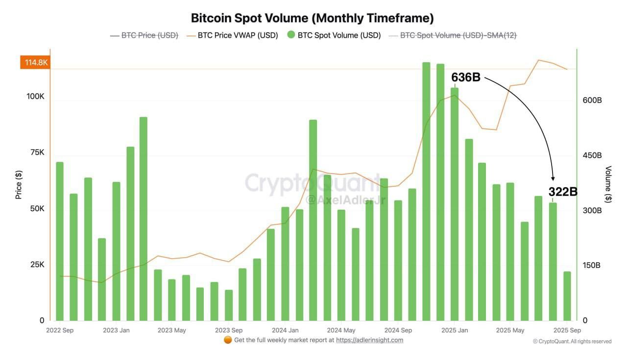 https://strapi.cryptozor.ru/uploads/photo_3887_be2cb4489c.jpg