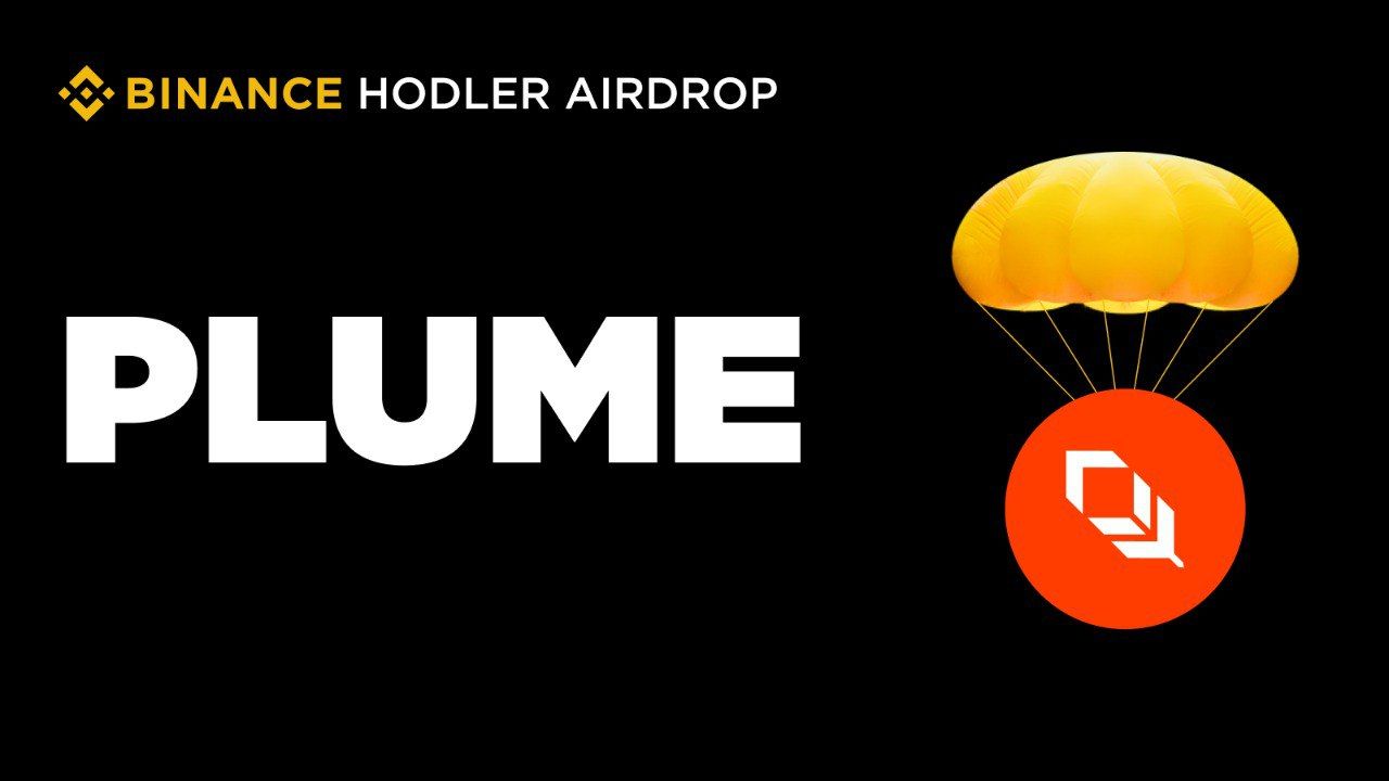 https://strapi.cryptozor.ru/uploads/photo_41475_f0ea4755f9.jpg