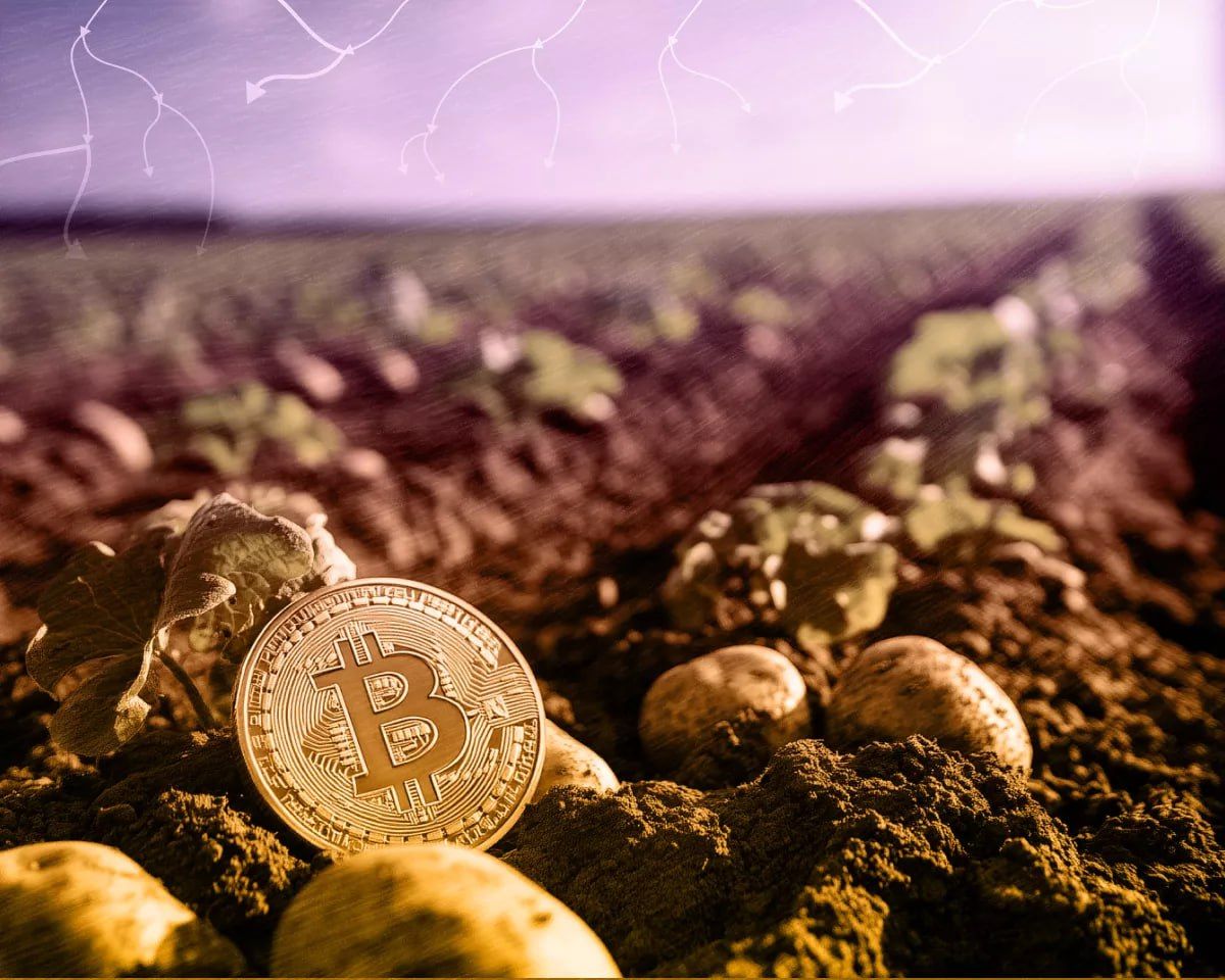 https://strapi.cryptozor.ru/uploads/photo_45420_d105afaa17.jpg