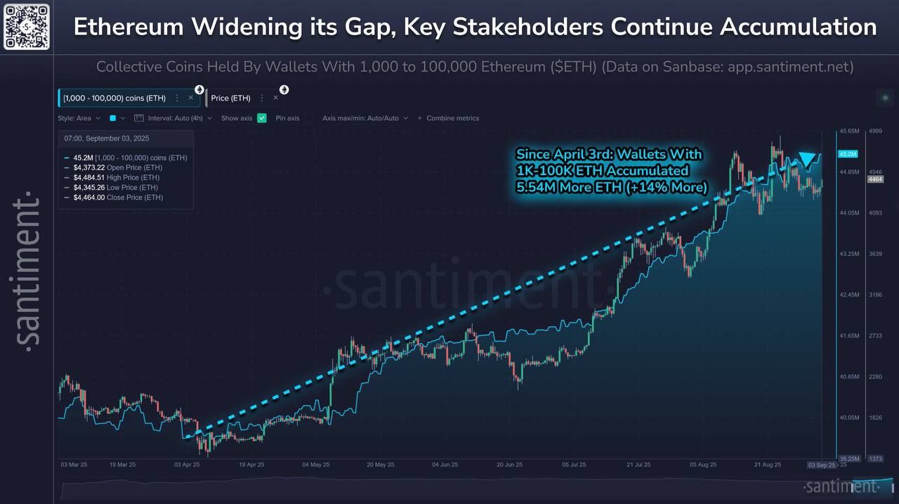 https://strapi.cryptozor.ru/uploads/photo_5029_1f2dfa8c88.jpg