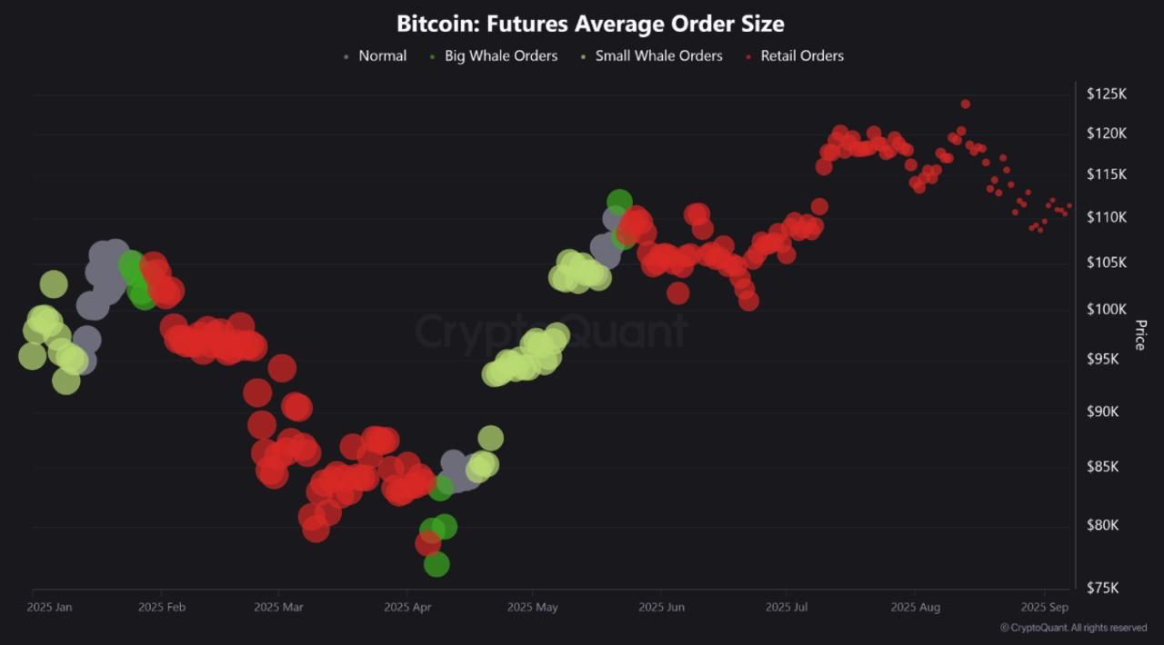 https://strapi.cryptozor.ru/uploads/photo_7082_2f70714b1f.jpg