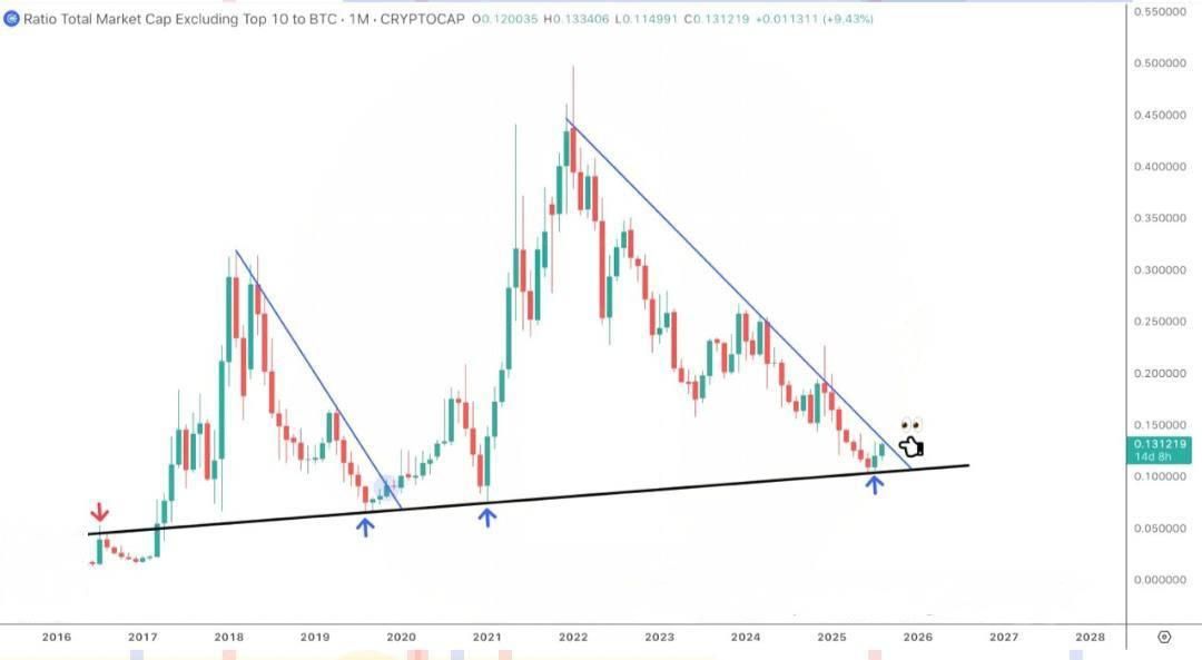 https://strapi.cryptozor.ru/uploads/photo_7858_2987799388.jpg